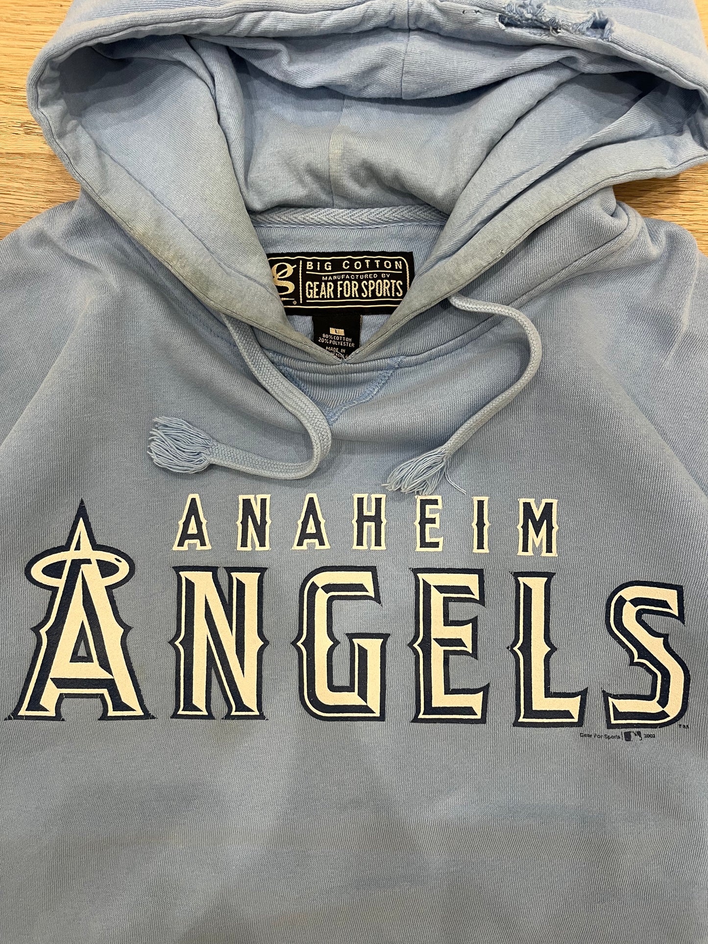 2000’s Gear For Sports Angels Hoodie